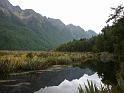 New_Zealand (524)